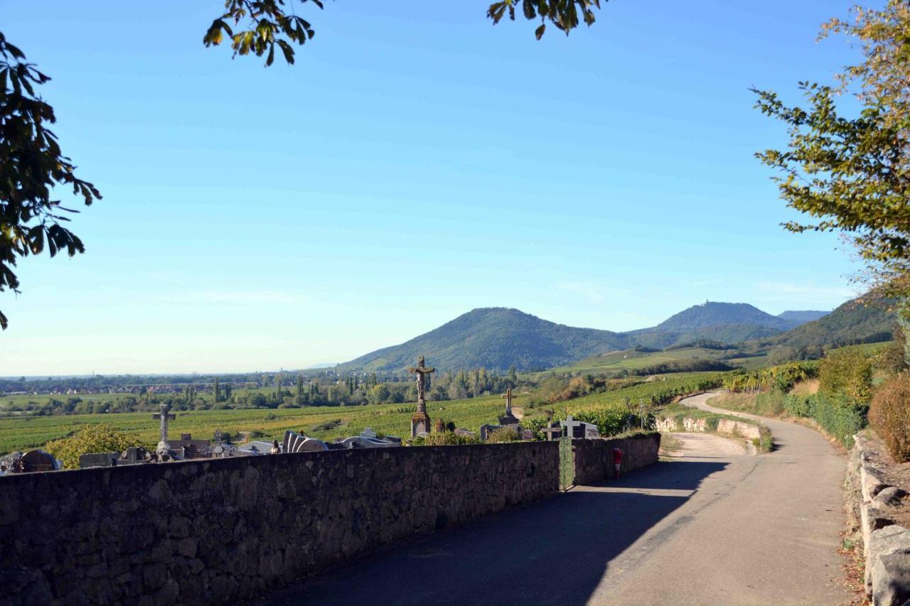 Le Vieux Pressoir Villa Dieffenthal Buitenkant foto